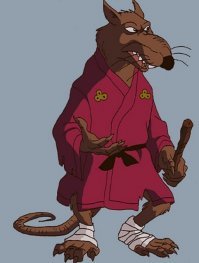 Нью-Йоркская крыса не испугалась кошки, преградившей ей путь