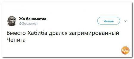 Неожиданная реакция соцсетей на победу Хабиба Нурмагомедова