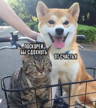 Вся разница)