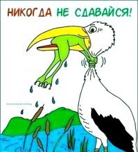 Уникальные кадры поедания цаплей здоровенной лягушки