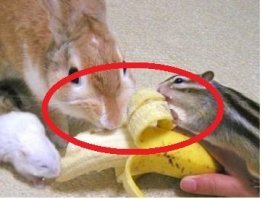 Кому вершки, а кому корешки?;)