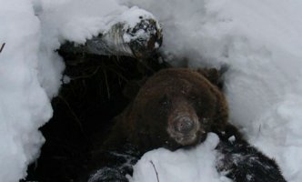 Картинки с надписями для настроения