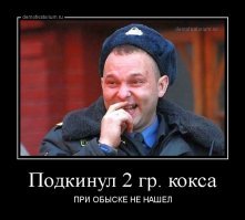 МВД обнаружило десятки новых наркотиков на территории РФ