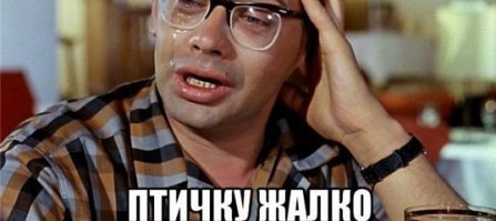 У лысого попугайчика нет перьев, но это не мешает ему веселиться