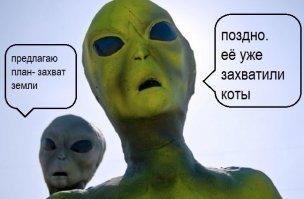 Зачем австралийцам «великая стена» против кошек