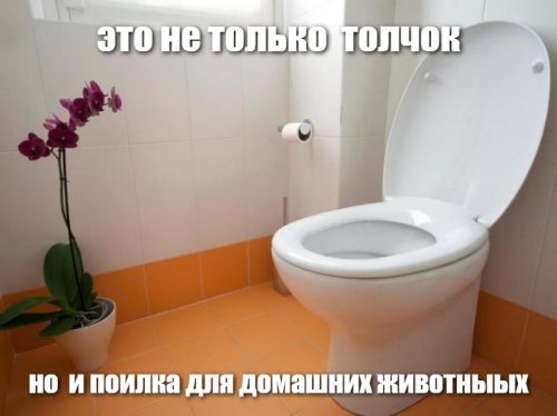 Я тебе одно место покажу ))))