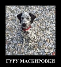 А вы так умеете? 35 примеров идеальной маскировки