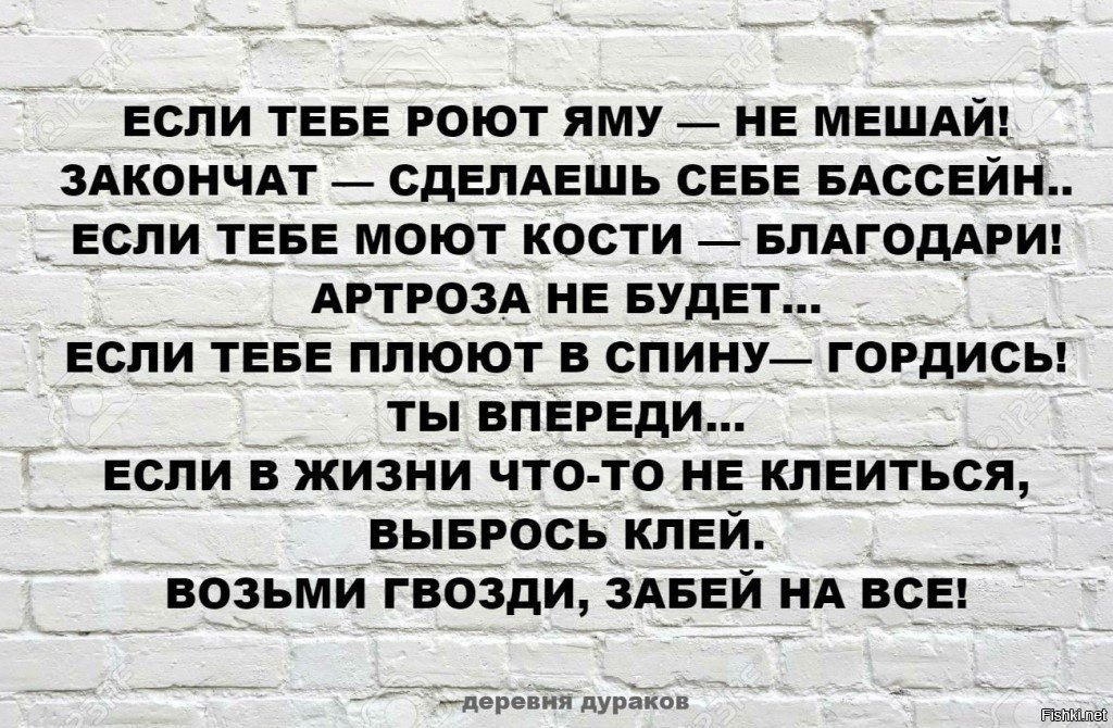Если тебе роют яму не мешай закончат сделаешь себе бассейн картинки