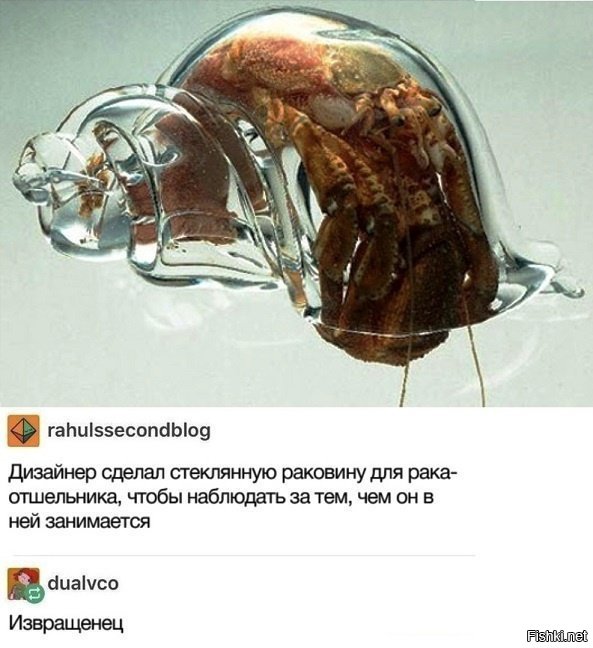 Кто?
