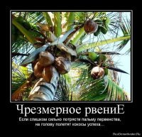 Обезьяна прикончила пожилую женщину кокосом