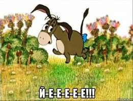 Толстым туристам в Греции запретили кататься на ослах