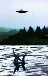 В сети попал неизвестный объект, напоминающий НЛО