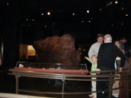 Вот такая фигня выставлена в Американском музее естественной истории.