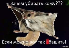 18 фото людей, которые сбросили безумное количество килограммов