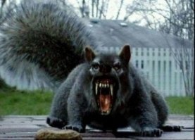 Так аккуратнее с алкоголием надо...