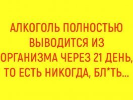 Это было покушение: Стас Барецкий столкнулся с трактором в Питере