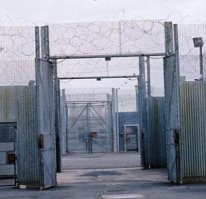 Предлагаю делать ставки, попадут они в ворота, или скержаковят))