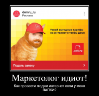 Кошачьи демотиваторы