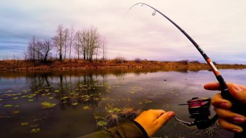 не знаю...., я так на выходных залипну