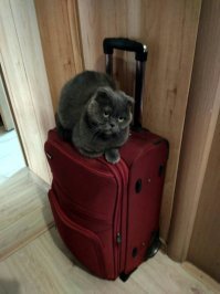 Прощание СЛАВЯНКИ.