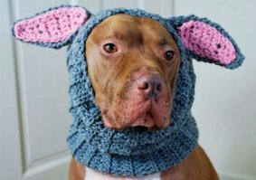 ну этих хозяев..они только и умеют развлекаться...
ЗЛЫЕ ВЫ...УЙДУ Я ОТ ВАС...
 ???????????- да хоть к медведям.