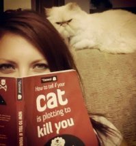 Кошачьи демотиваторы