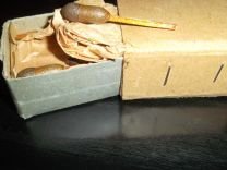 Это обычные охотничьи спички, выпускавшиеся в СССР ещё с незапамятных времён. Просто их приспособили для подрывников, вот и всё. Делать из этого какую-то сенсацию - бред просто