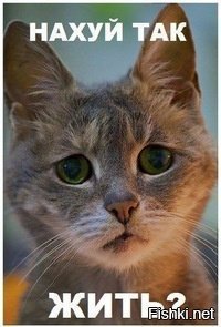 Фестиваль Вегетарианцев на Пхукете: экстремальный пирсинг и другие традиции