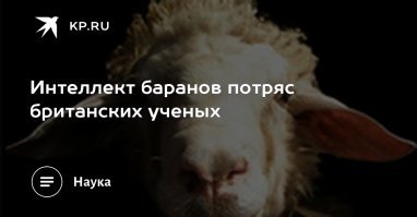 это всё, что нужно знать о британских учёных