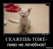 Ученые открыли полезные свойства пива