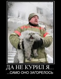 Моменты  о которых стыдно вспоминать любому котэ