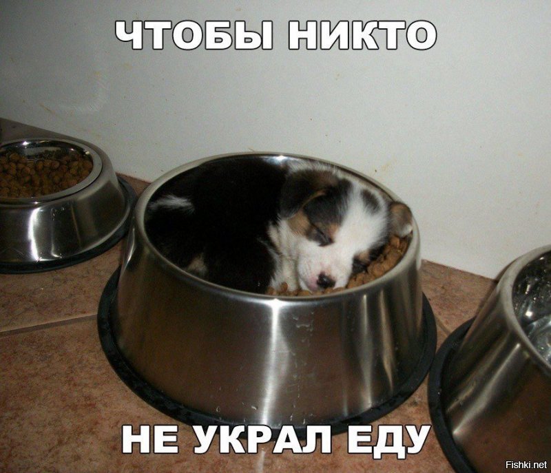 Давно пора.
 Засрали всю Солянку лайко- и просто дрочеры. ---- Три года назад я зарег. на Фишках и влез в Солянку, т.к. ржал  от смеха чуть ли не с каждого коммента. 
Сейчас - с этим туго. Люди перестали общаться, перестали (почти) выкладывать СВОИ мысли. ----
--- А тогда Солянка зачем? 
Я, чокнутый Пингвин, пытаюсь хоть как-то улыбнуть людей, но и кучу негатива в ответ получаю.  
-------------------------------------------------------------------
Для озабоченных сиськами-письками есть другие сайты. -== -== Школота, поднимите вой!