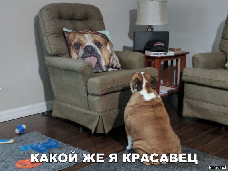 Давно пора.
 Засрали всю Солянку лайко- и просто дрочеры. ---- Три года назад я зарег. на Фишках и влез в Солянку, т.к. ржал  от смеха чуть ли не с каждого коммента. 
Сейчас - с этим туго. Люди перестали общаться, перестали (почти) выкладывать СВОИ мысли. ----
--- А тогда Солянка зачем? 
Я, чокнутый Пингвин, пытаюсь хоть как-то улыбнуть людей, но и кучу негатива в ответ получаю.  
-------------------------------------------------------------------
Для озабоченных сиськами-письками есть другие сайты. -== -== Школота, поднимите вой!