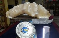 и в каком же моллюске  она поместилась?