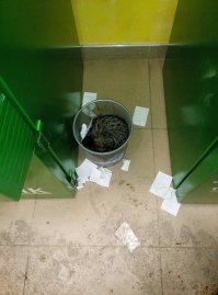 22 доказательства того, что кот - это жидкость