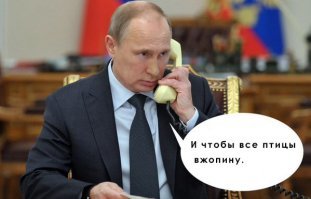 БОВ "Синячок"?