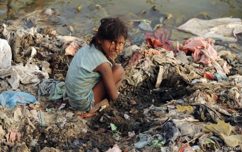 Как они там вообще живут.
Еще можно понять бедность, но жить на мусоре это конечно не представляю возможным...
Ну и плюс огромная перенаселнность страны.