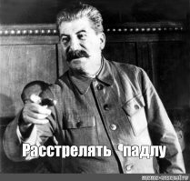 Стали известны доходы министра, предложившего круглый год есть «макарошки»