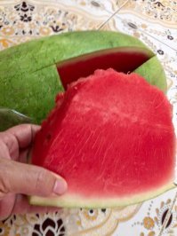 Гифки дня