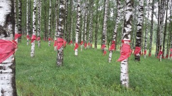 Девчонки поют около памятника "Цветок жизни", созданный в память о погибших детях блокадного Ленинграда. Находится на 3-м километре Дороги жизни. Вокруг памятника высажены 900 берез, на каждый день блокады, которые повязывают галстуками. 

PS Единственное что мне не понравилось, это то что они лазают по памятнику, там обычно лежат цветы, хотя всё равно плюс!