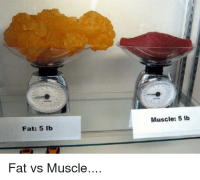 ушла жировая масса, пришла мышечная
вот примерно как на картинке