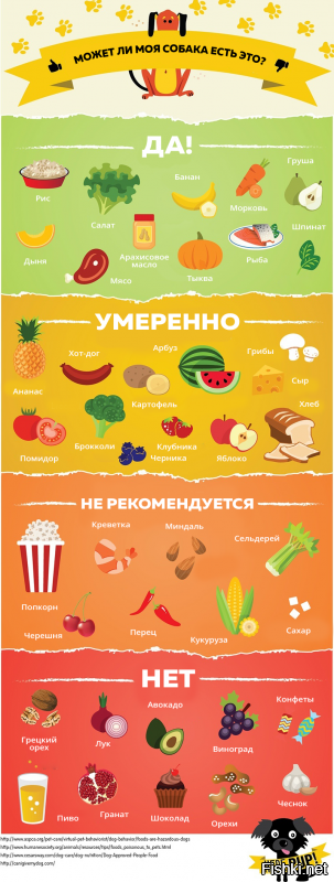Собачий фотопозитив