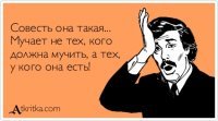 Гифки, от которых на душе становится теплее