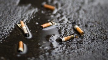 Бычки - найдены в 90-м году прошлого века близ ж/д вокзала в Саранске.