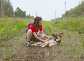 Собачий фотопозитив