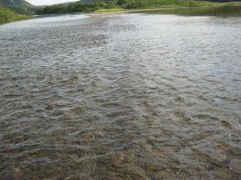 Какая все-таки красивая Матушка-Россия! Благодать!
Ниже фото - Пермский край, этим летом!