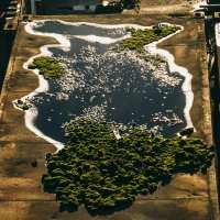 картинка с пикабу