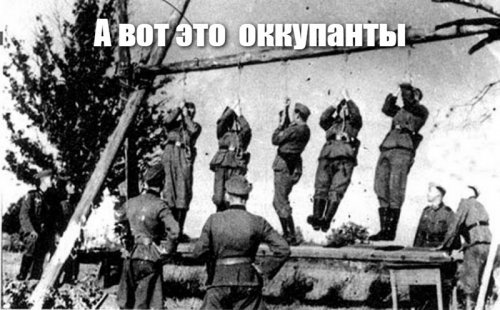 Мария Захарова предложила реализовать в Севастополе проект о местах захоронения иностранных солдат