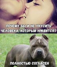Державшую 40 собак заводчицу загрызли ее же питомцы