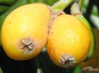 Продукты, которые нас удивили
